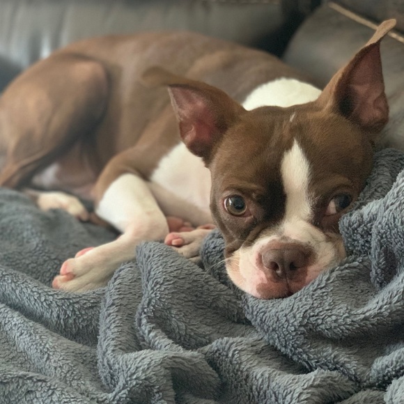 Meet your Posher, Hailey! 😊💕🌸 - Picture 2 of 3